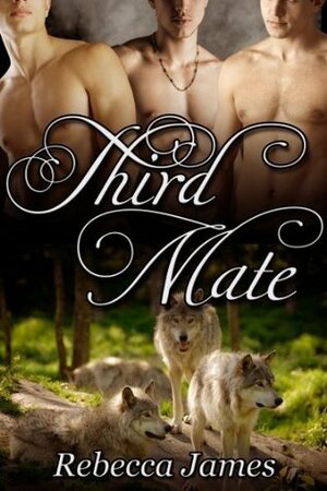 Third Mate by Rebecca James