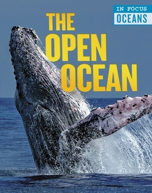 The Open Ocean by Claudia Martin