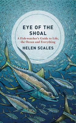 Eye of the Shoal: A Fishwatcher's Guide to Life, the Ocean and Everything by Helen Scales