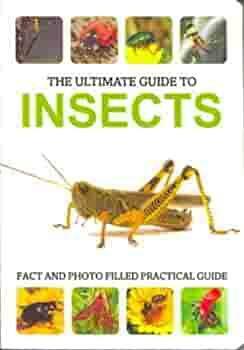 The Ultimate Guide to Insects by Patrick Hook