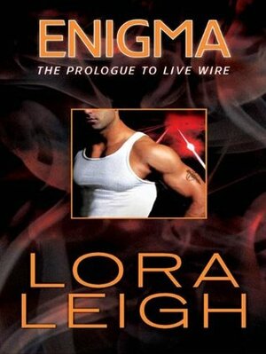 Enigma by Lora Leigh