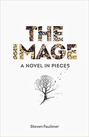 The Image: A Novel in Pieces by Steven Faulkner