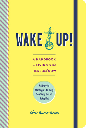 Wake Up!: A Handbook to Living in the Here and Now-54 Playful Strategies to Help You Snap Out of Autopilot by Chris Baréz-Brown