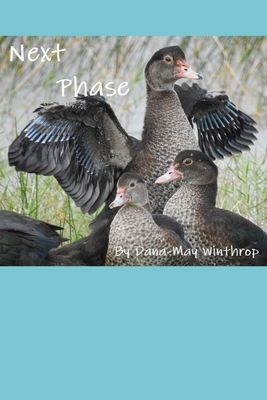 Next Phase by Dana-May Winthrop