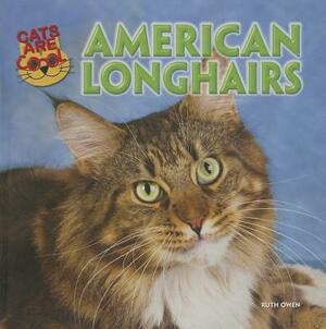 American Longhairs by Ruth Owen