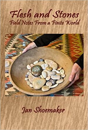 Flesh and Stones: Field Notes From a Finite World by Jan Shoemaker
