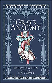 Gray's Anatomy (Barnes & Noble Collectible Classics: Omnibus Edition) by Henry Gray