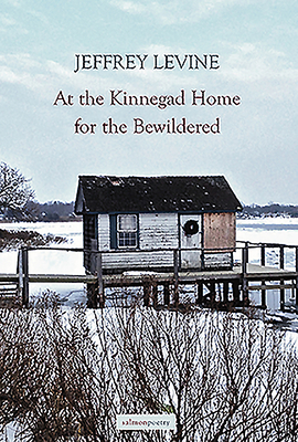 At the Kinnegad Home for the Bewildered by Jeffrey Levine