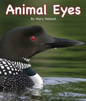 Animal Eyes by Mary Holland