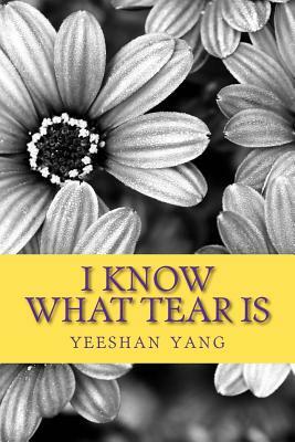 I Know What Tear Is: an oriental fantasy about a Tibetan little nun by Yeeshan Yang, Francis Ng