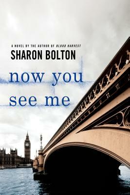 Now You See Me: A Lacey Flint Novel by S. J. Bolton, Sharon Bolton