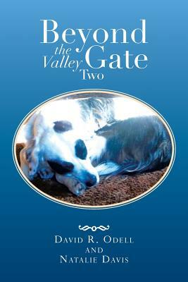 Beyond the Valley Gate Two by Natalie Davis, David R. Odell