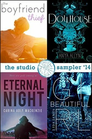 The Studio Sampler 2014: Selections from Teen Novels by Lida James, Anya Allyn, Carina Adly MacKenzie, Shana Norris