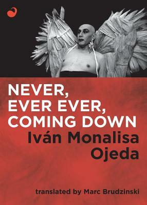Never, Ever Ever, Coming Down by Iván Monalisa Ojeda