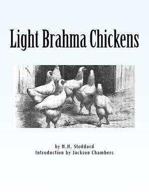 Light Brahma Chickens: Chicken Breeds Book 25 by H. H. Stoddard