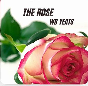 The Rose by W.B. Yeats