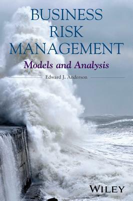 Business Risk Management: Models and Analysis by Edward J. Anderson