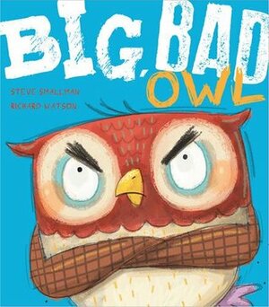 Big, Bad Owl by Richard Watson, Steve Smallman