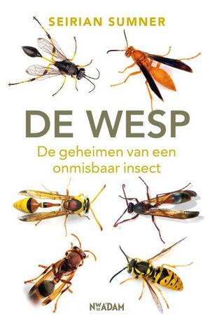 De wesp - De geheimen van een onmisbaar insect by Seirian Sumner