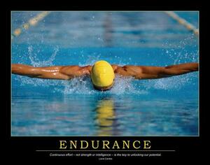 Endurance Poster by Enna