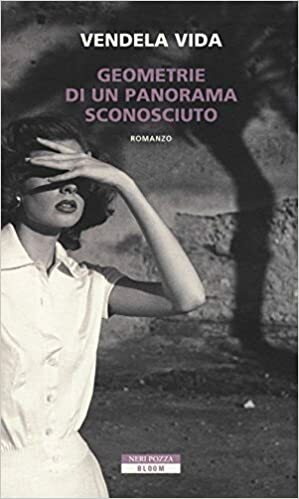 Geometrie di un panorama sconosciuto by Vendela Vida