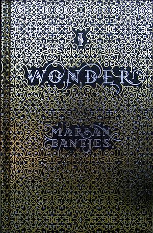 I Wonder by Marian Bantjes