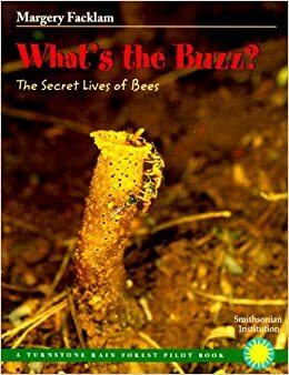 What's the Buzz?: The Secret Lives of Bees by Margery Facklam