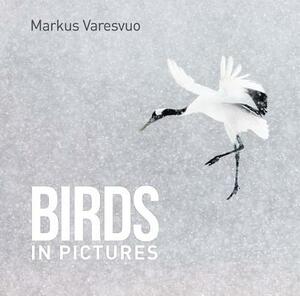 Birds in Pictures by Markus Varesvuo