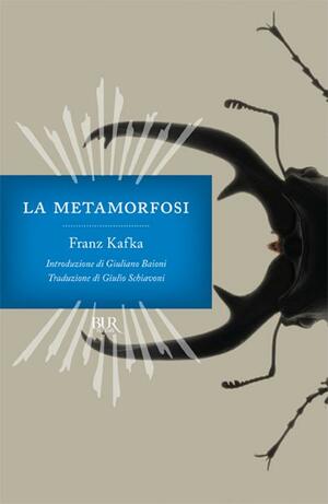 La metamorfosi  by Franz Kafka