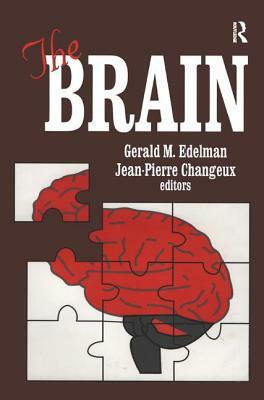The Brain by Jean-Pierre Changeux