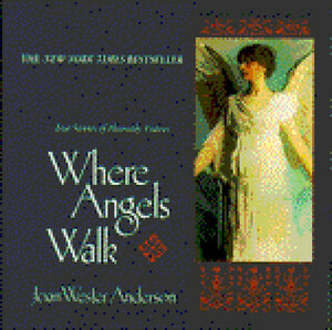 Where Angels Walk by Joan Wester Anderson