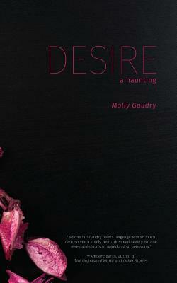 Desire: A Haunting by Molly Gaudry