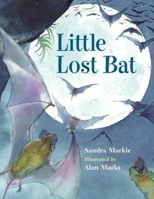 Little Lost Bat by Sandra Markle