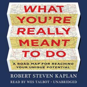 What You're Really Meant to Do: A Road Map for Reaching Your Unique Potential by Robert Steven Kaplan