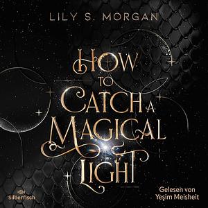 How To Catch A Magical Light by Lily S. Morgan