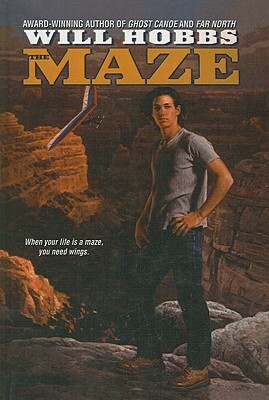 The Maze by Will Hobbs