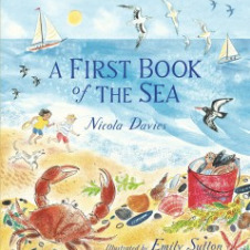 A First Book of the Sea by Nicola Davies, Emily Sutton