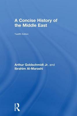 A Concise History of the Middle East by Ibrahim Al-Marashi, Arthur Goldschmidt