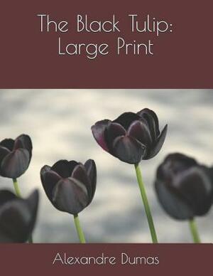 The Black Tulip: Large Print by Alexandre Dumas