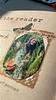 denise_naturebookscrafts's profile picture