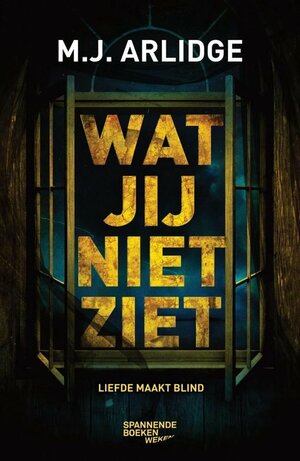 Wat jij niet ziet by M.J. Arlidge