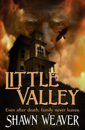 Little Valley by Shawn Weaver