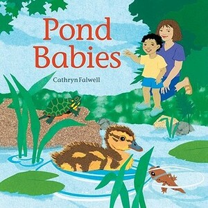 Pond Babies by Cathryn Falwell