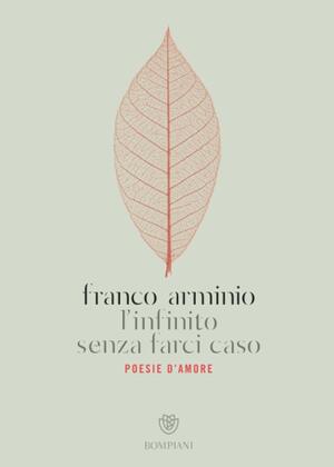 L'infinito senza farci caso by Franco Arminio