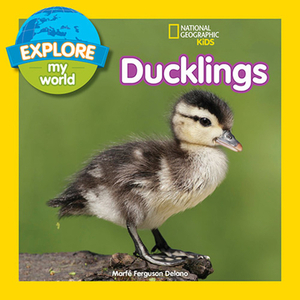 Explore My World: Ducklings by Marfe Ferguson Delano