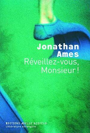 Réveillez-vous, Monsieur ! by Jonathan Ames