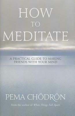 How to Meditate: A Practical Guide to Making Friends with Your Mind by Pema Chödrön