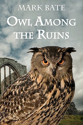 Owl Among the Ruins by Mark Bate