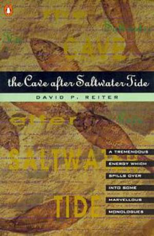 The Cave after Saltwater Tide by David P. Reiter