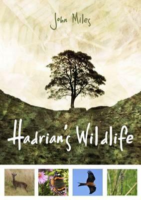 Hadrian's Wildlife by John Miles